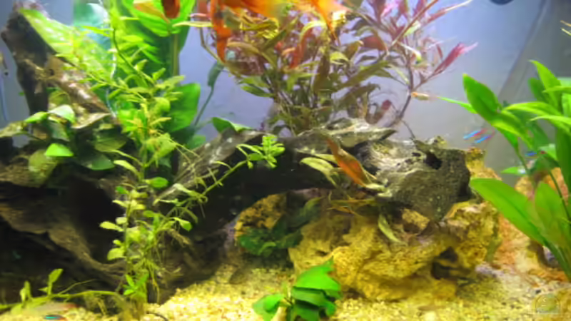 vor dem Umbau von Frank Eichhorn (6)