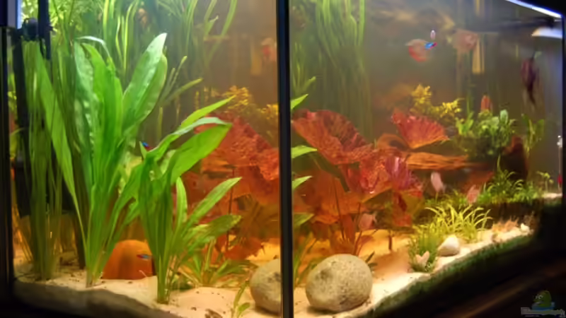 vor dem Umbau von Nadinsche (3)