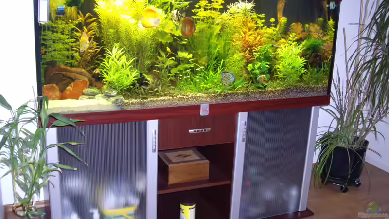 Vor dem Umzug und der Umgestaltung von Franky Lunatic (8)