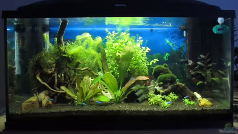 vor dem Update von Mogwai (2)