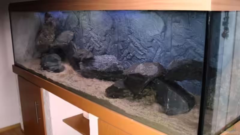 Vor dem Wasser von Meerjungfraumann (2)