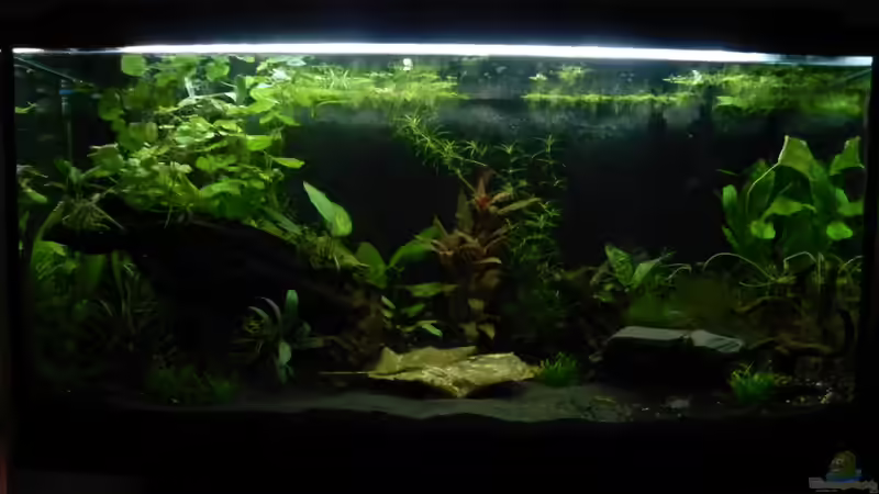 Vor dem Wechsel des Bodengrundes von Sarah Friedli (2)