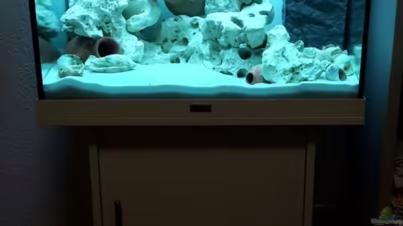 Vor der Bepflanzung. von Stabheuschrecke23 (2)