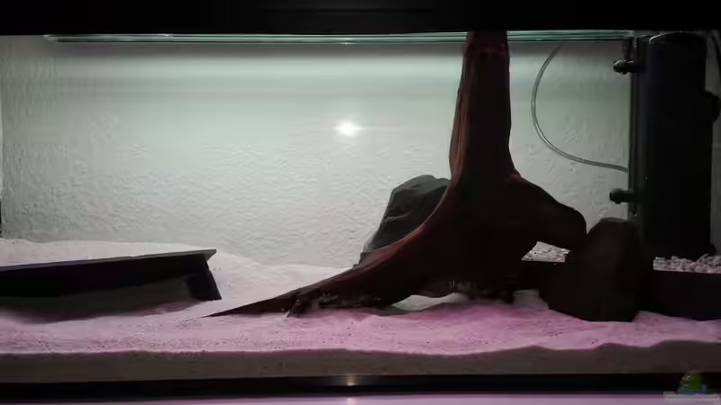 vor der Bepflanzung von Oli 1 (8)