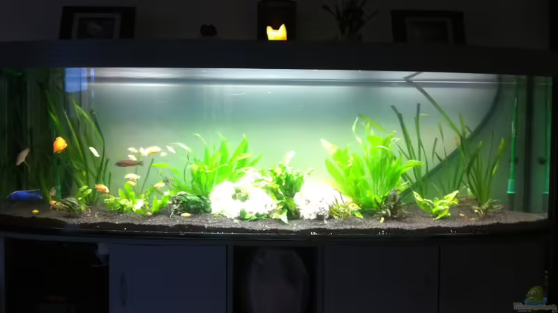 Vor der Einrichtung von Yejo (3)