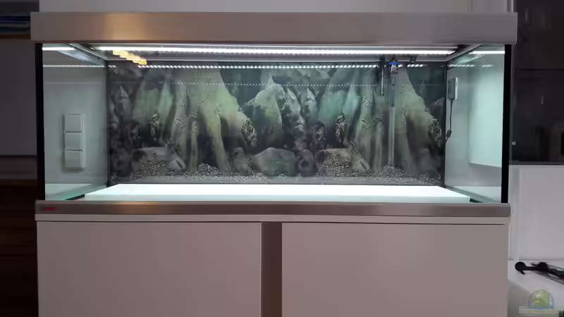 Vor der Neu-Einrichtung. Styropor als Unterlage um Gewicht und Sand zu sparen. von John Pulpo (2)