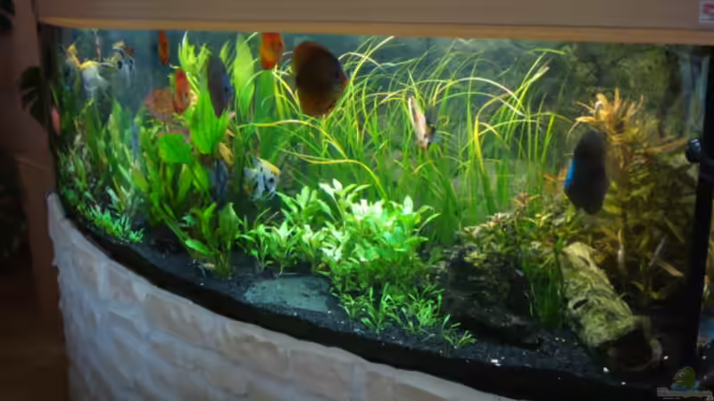 vor der Neugestaltung von matze70 (18)