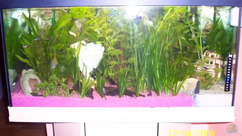 vor der Umgestaltung 13.04.08 von Ingo Dahl (2)