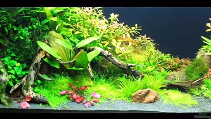 Vor der Umgestaltung Stand 20.12.09 von -serok- (3)