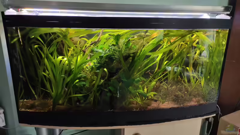 Vor der Umgestaltung von SoSi (2)