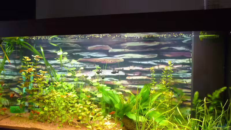 vor der Umgestaltung von Stefan E. (8)