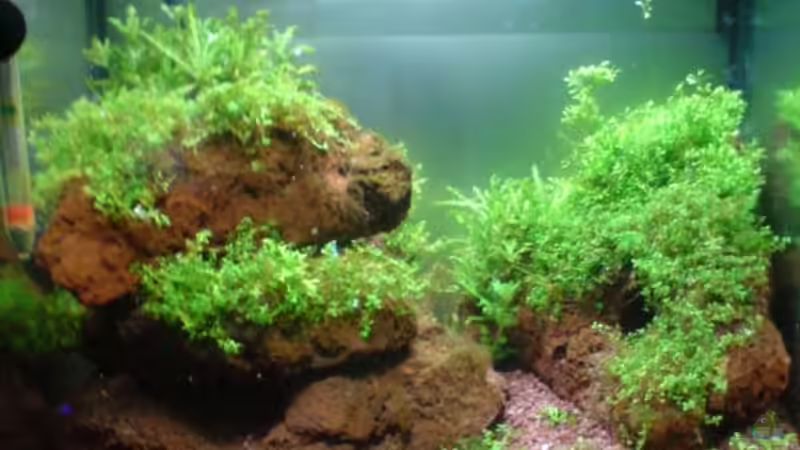 vor drei Monaten von Stefan B. (4)