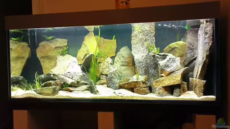 Vor einem Jahr... von Schloe (2)