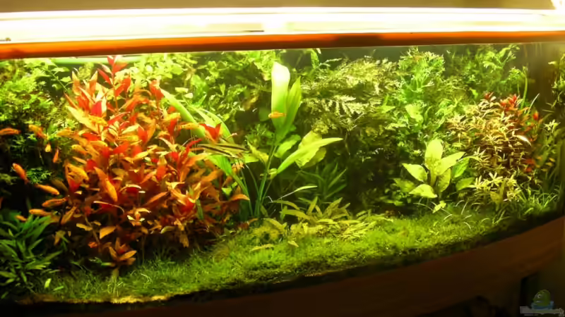 vor etwa drei Monaten von Stinnes (3)