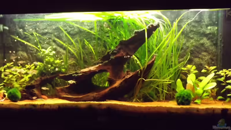 Vor Umbau  von Mark H. (2)