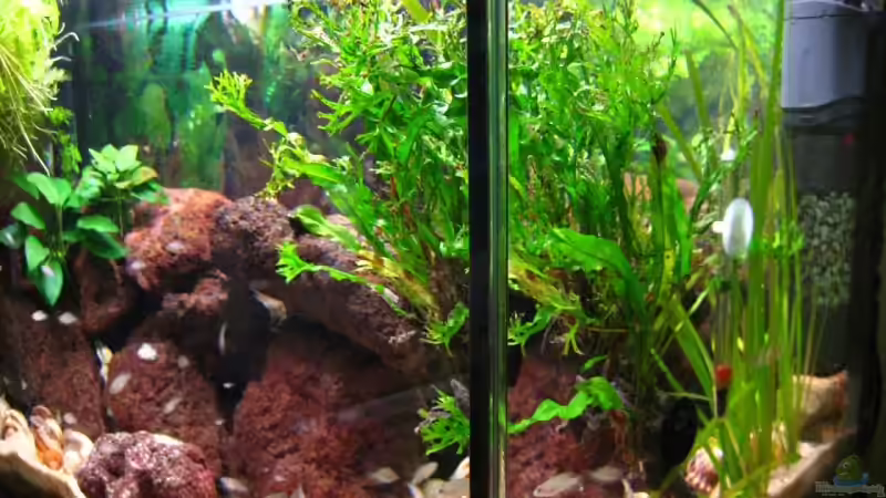 vor Umbau von André Martin (2)