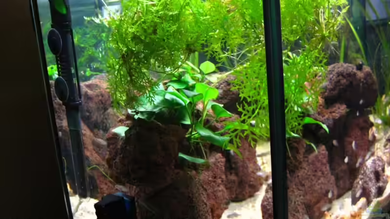 vor Umbau von André Martin (3)