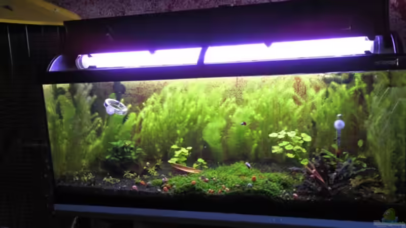 vor Umbau von crayfish79 (2)