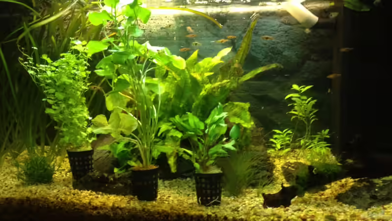 vor umgestaltung+alte leuchtmittel von ulli85 (3)