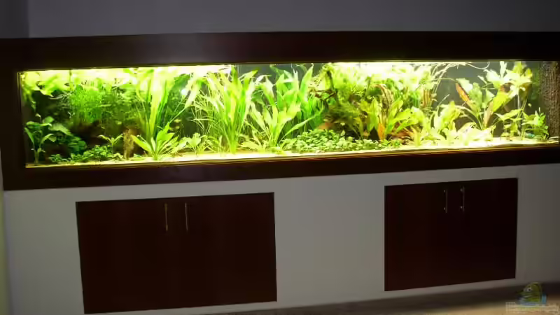 vor Umgestaltung von Fabian Eckel (3)