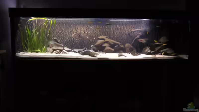 vor umgestaltung von Haens84 (10)