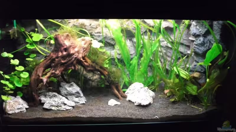 vor Umgestaltung von Romer (10)