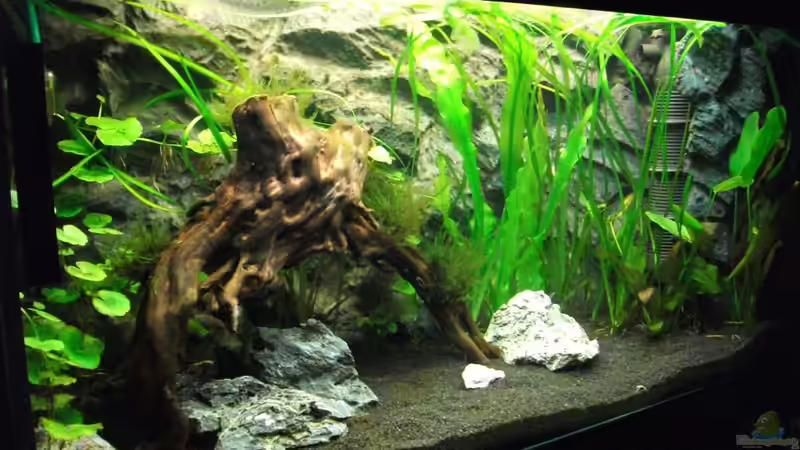 vor Umgestaltung von Romer (9)