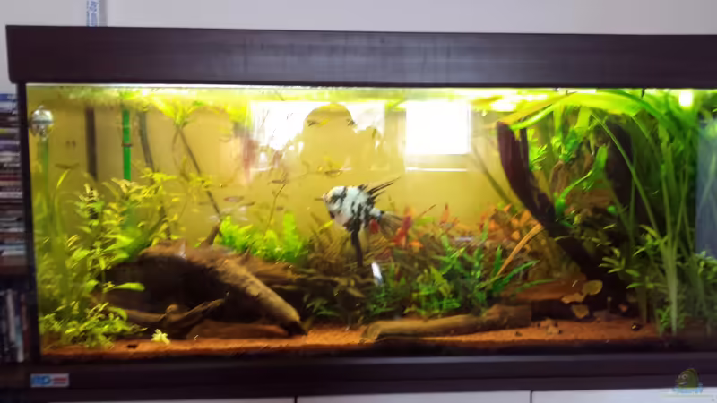 vor Umstellung aus SoA von AustroTom