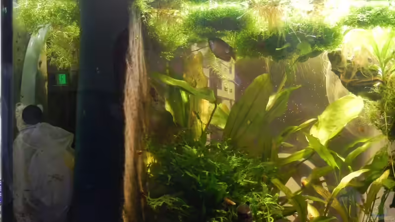 Vor und hinter dem HMF von miv (8)