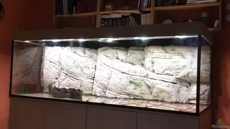 vorbereitetes Aquarium mit Bodenfluter und Terrassen von H.T. (2)