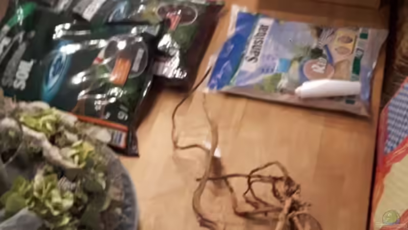 Vorbereitung der ´Zutaten´ von Der Nicky (53)