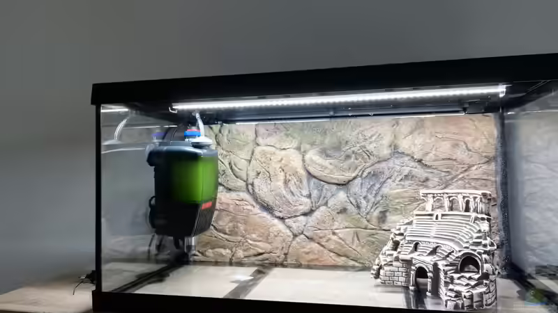 Vorbereitung Einrichtung 05/2020 von KleinerFisch (15)