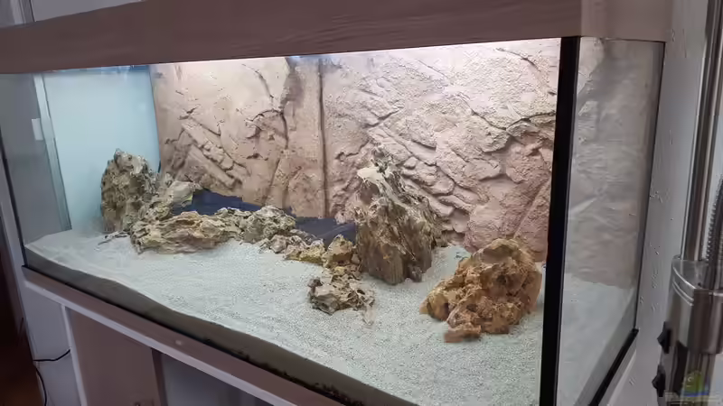 Vorbereitung_frontal_liks_2 von Chris-BluBB (7)