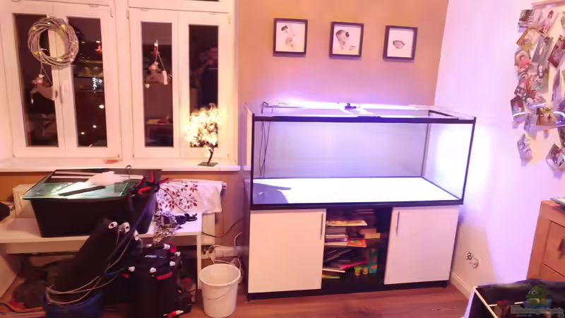 Aquarien mit Produkten von Aquadecor (Einrichtungsbeispiele mit Aquadecor-Produkten)