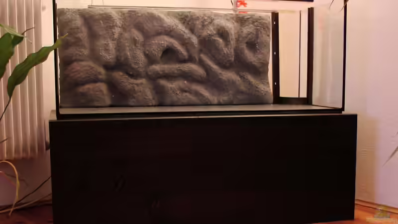 Vorbereitungen von Tanganjika_160_Liter (2)