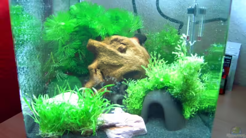 Vorder Ansicht Nano Cube 20 Liter von bjoern21x (2)