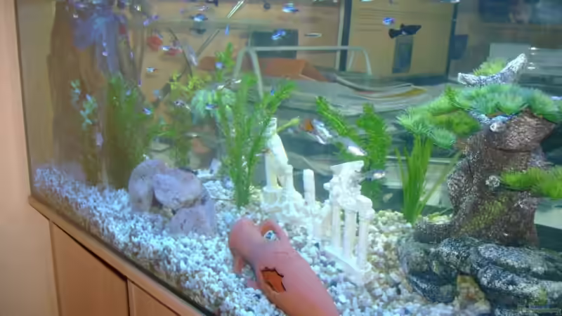 Vorder Ansicht von Robert Bratzik (3)