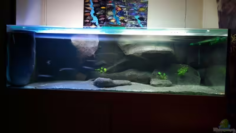 Vorder ansicht von Tobias Laudenberg (1)