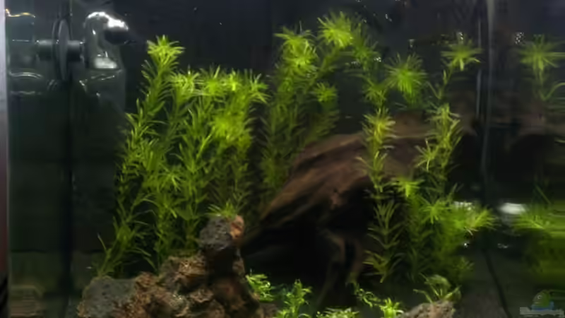 Vorderansicht 12.10.12 von M to the ilan (9)