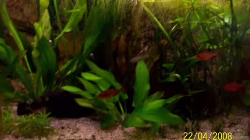 Vorderansicht 22.04.08 von Thomas Schmidt (5)