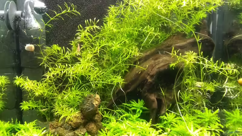 Vorderansicht 29.12.12 von M to the ilan (13)