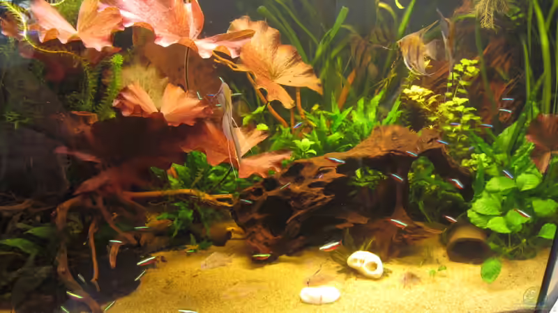 Vorderansicht 4.3.12 von Sabrina Plankensteiner (17)