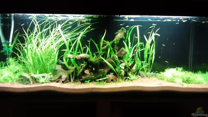 Vorderansicht Esszimmerseite von Jens Hug (1)