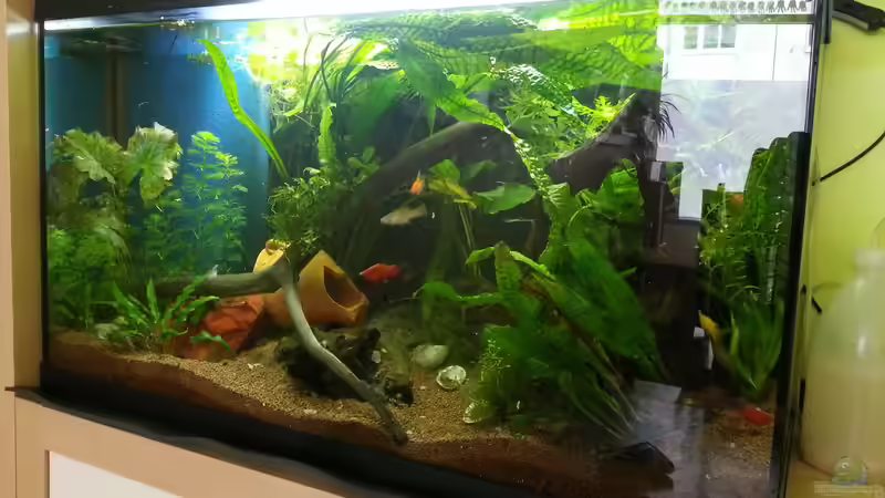 Vorderansicht kurz nach der Einrichtung  von Zomic (9)