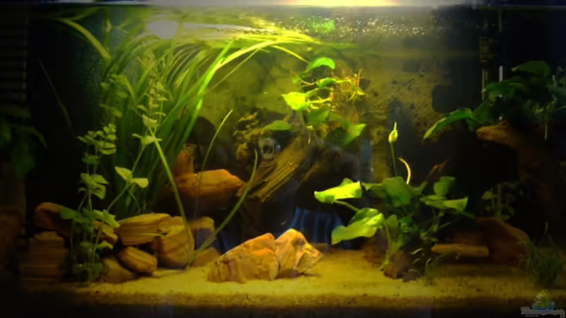 Vorderansicht mit zu viel licht! von Marcel Becker (1)