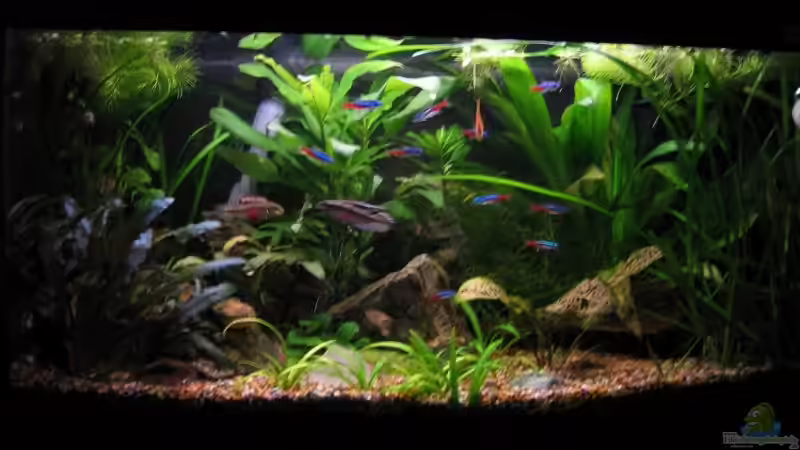 Vorderansicht Neu November