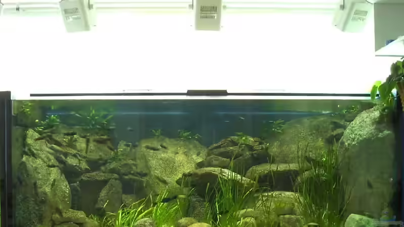 Vorderansicht (ohne Blitz) von Robert Bröhl (1)