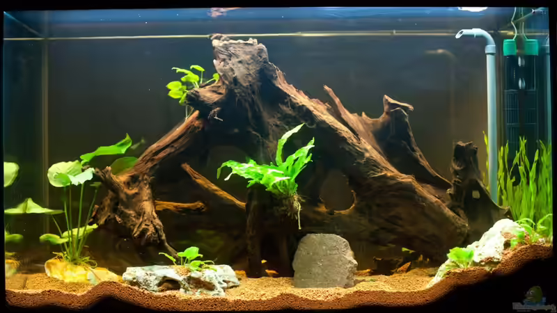 Vorderansicht (Raumteiler-Wohnzimmerseite) 2011 von Daniel80 (5)