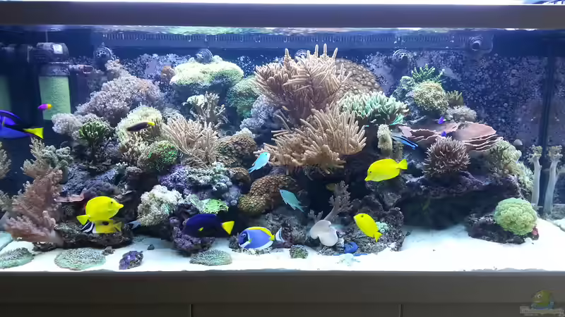 Vorderansicht Stand 11 Monate ! von urbi (24)