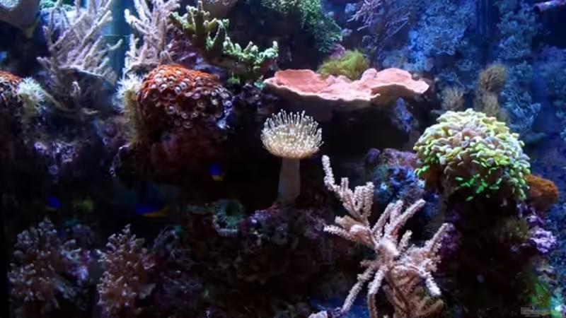 Vorderansicht vom 2.06.07 von Petra Kallmeyer (5)